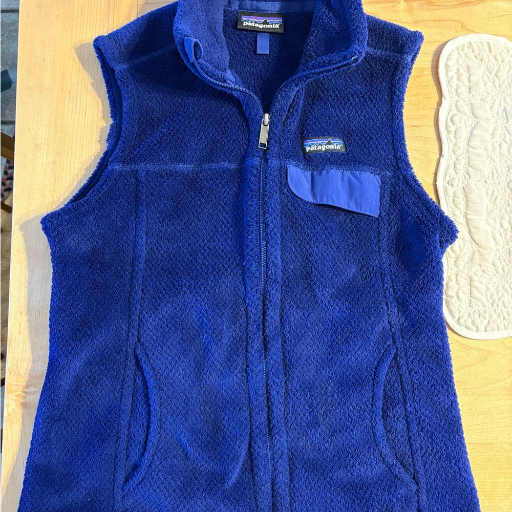 Patagonia Blue Fleece Vest